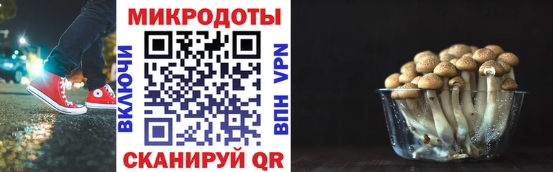 мега маркетплейс  Лесозаводск  Псилоцибиновые грибы мухоморы 